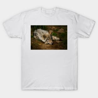 Timber Wolf Pup T-Shirt